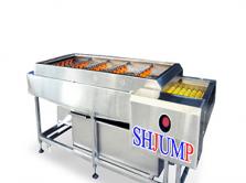 Brush washing machines