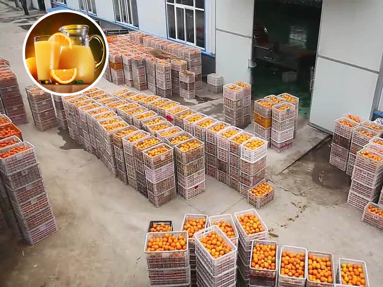 NFC orange juice production line in Hubei，China