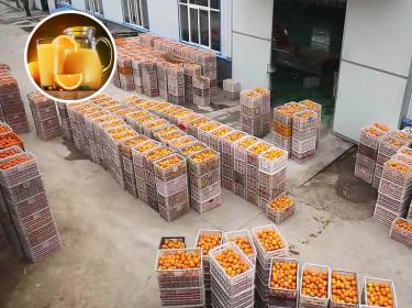 NFC orange juice production line in Hubei，China