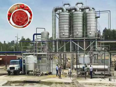 Large tomato production line in Uzbekistan