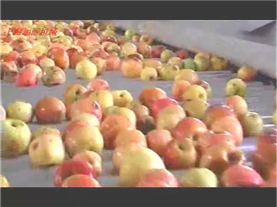 Apple juice processing line 