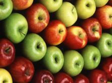 Pome fruits(apple/pear) processing line